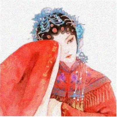 观众橘子树下头像